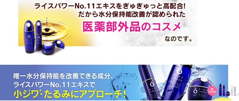 ���C�X�t�H�[�X���ϕi���T�C�g